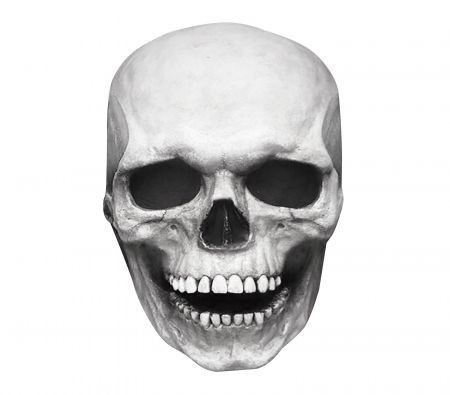 https://img.bestdeals.co.nz/products_pictures/347/34718_292120_F.jpg