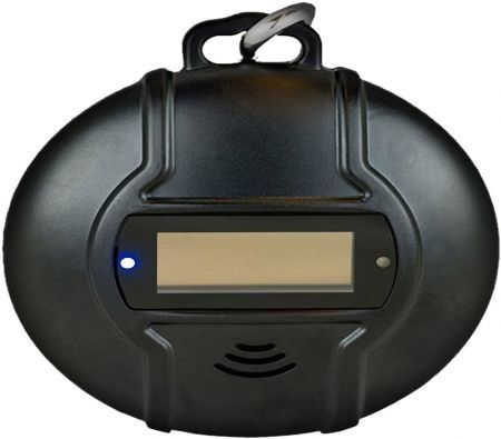 https://img.bestdeals.co.nz/products_pictures/347/34721_292152_F.jpg