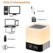 Touch Sensor Bedside Lamp Dimmable Warm Light Alarm Clock, MP3 Player, USB, AUX, Best Gift for Kids, Party, Outdoor, Bedroom,Camping