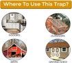 Flip N Slide Bucket Lid Mouse/Rat Trap |Humane or Lethal| |Trap Door Style | 5 Gallon Bucket Compatible|