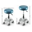 2x Levede Swivel Salon Barstool Hairdressing Stool Barber Chair Equipment Beauty