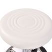 Hairdressing Salon Barber Hydraulic Swivel Stool - White