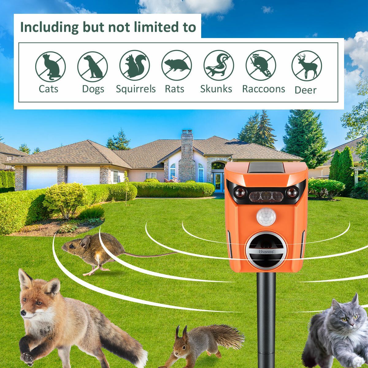 https://img.bestdeals.co.nz/products_pictures/349/34963_293534_F.jpg