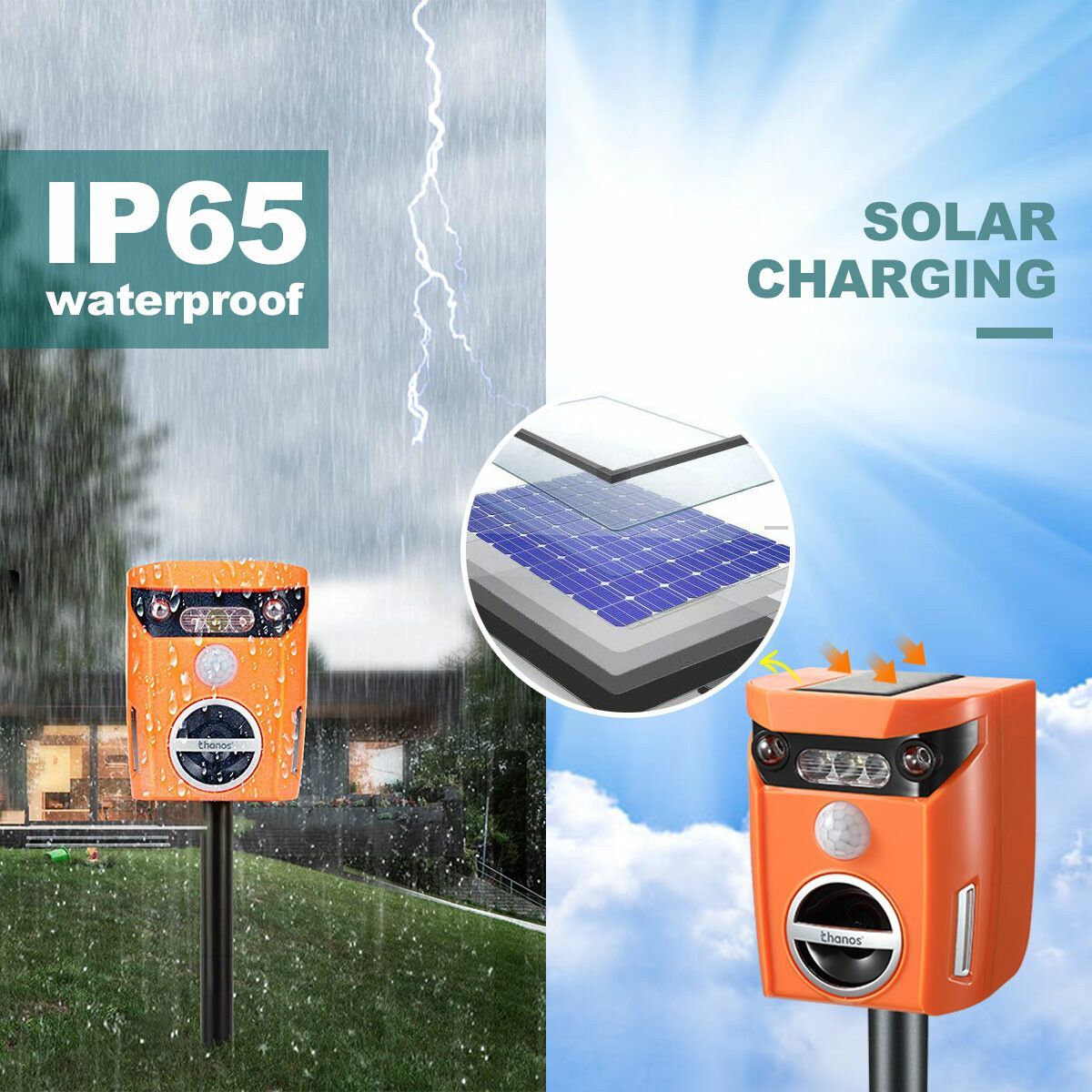 https://img.bestdeals.co.nz/products_pictures/349/34963_293536_F.jpg