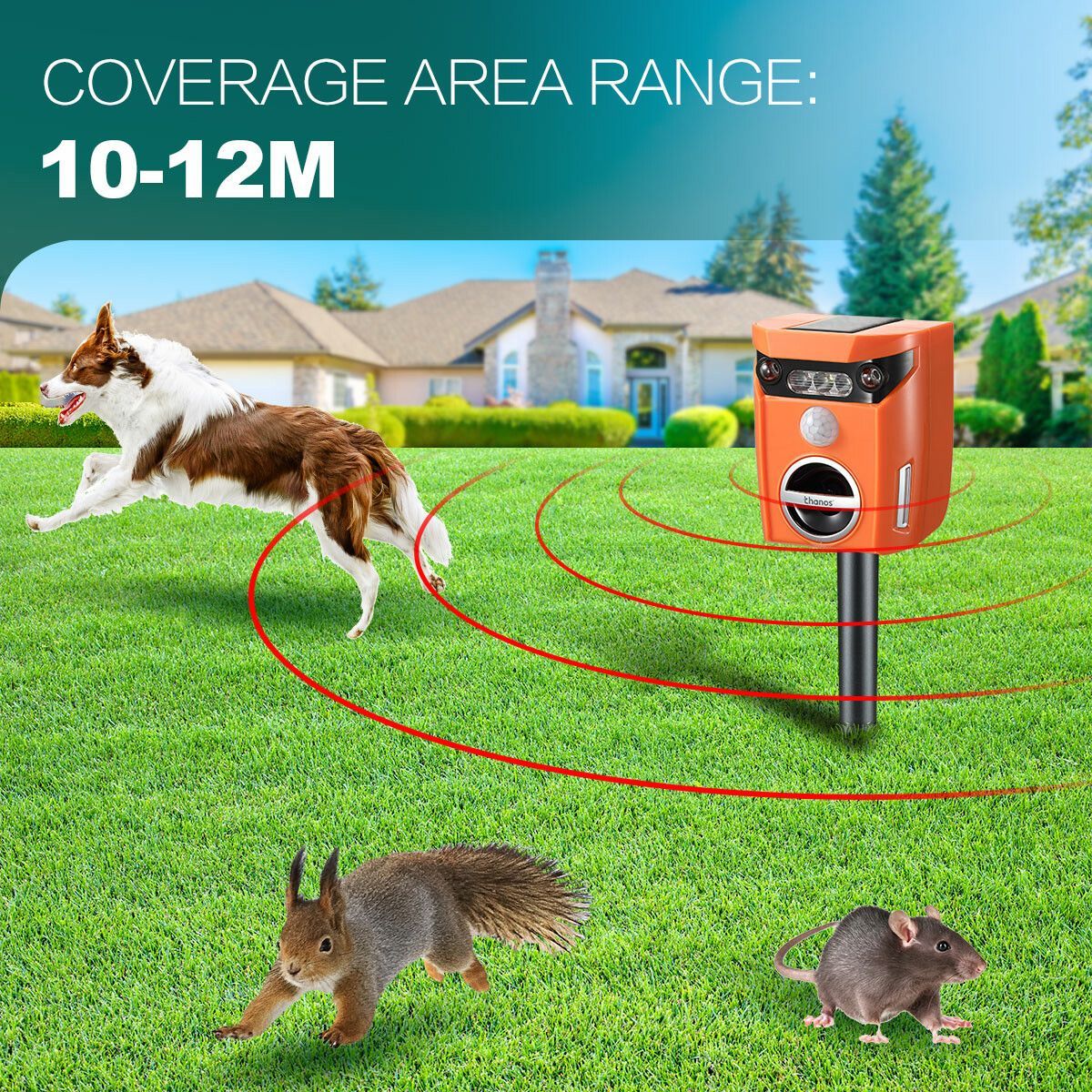 https://img.bestdeals.co.nz/products_pictures/349/34963_293538_F.jpg