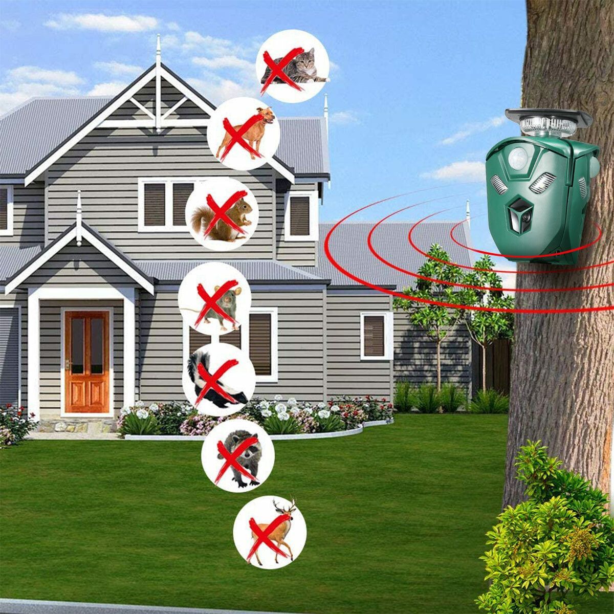 https://img.bestdeals.co.nz/products_pictures/349/34964_293544_F.jpg
