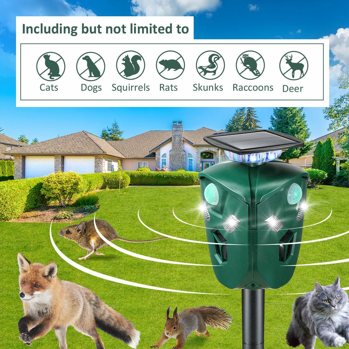 https://img.bestdeals.co.nz/products_pictures/349/34964_293550_F.jpg
