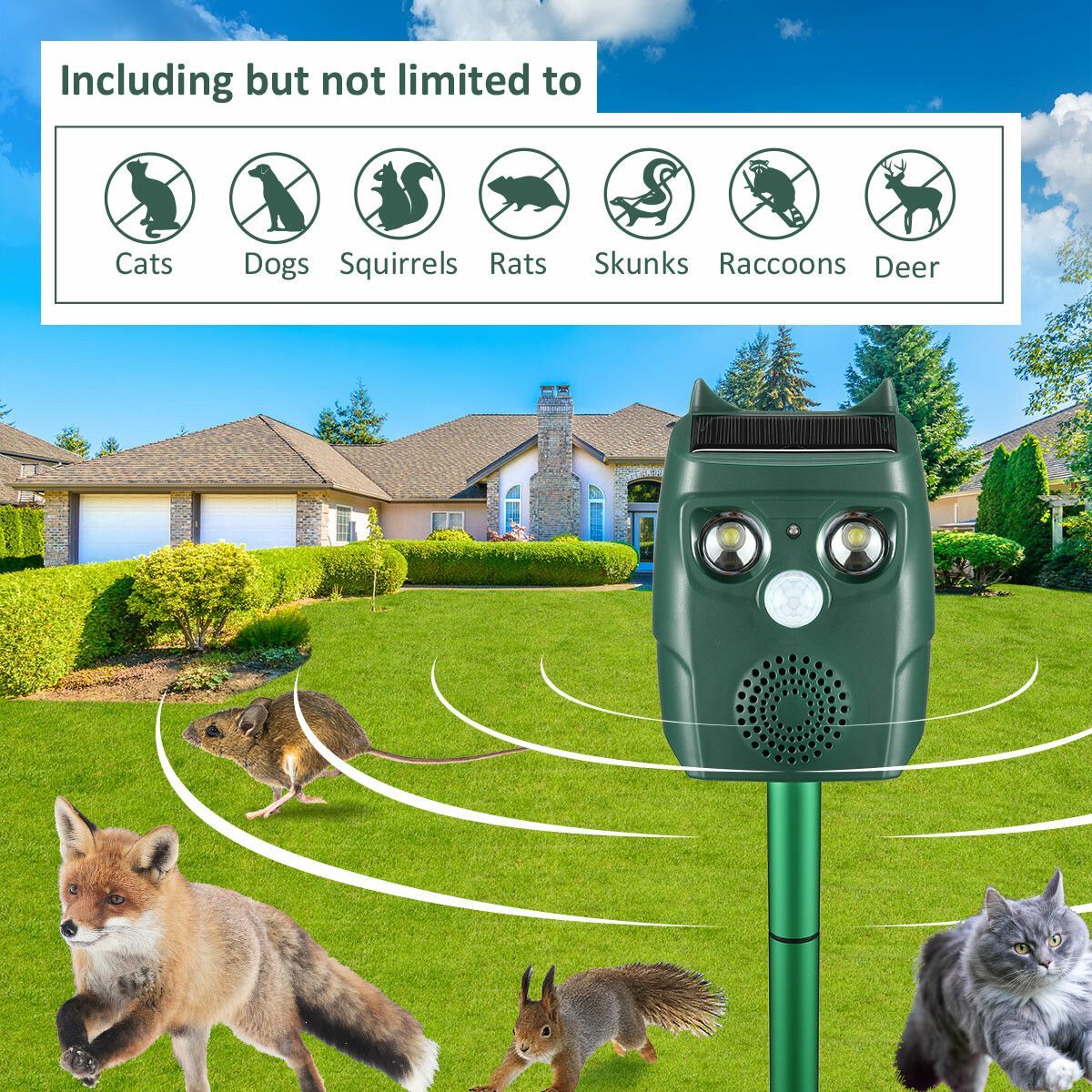 https://img.bestdeals.co.nz/products_pictures/349/34965_293558_F.jpg