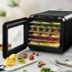 Maxkon Food Dehydrator Fruit Vegetable Meat Dryer Maker Machine 6 Trays and Timer