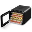 Maxkon Food Dehydrator Fruit Vegetable Meat Dryer Maker Machine 6 Trays and Timer