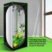 60x60x160cm Grow Tent Hydroponic Indoor Plant Room Growing Tent 600D Reflective Oxford Fabric