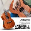 Melodic Electric Concert Ukulele 23 Inch Mahogany Hawaii Guitar EQ for Beginners