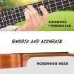 Melodic Electric Concert Ukulele 23 Inch Mahogany Hawaii Guitar EQ for Beginners