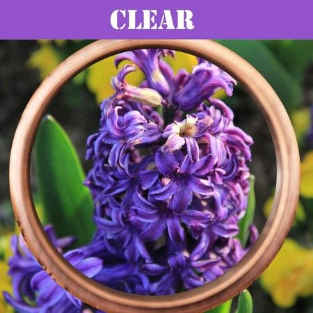 https://img.bestdeals.co.nz/products_pictures/353/35338_299631_F.jpg