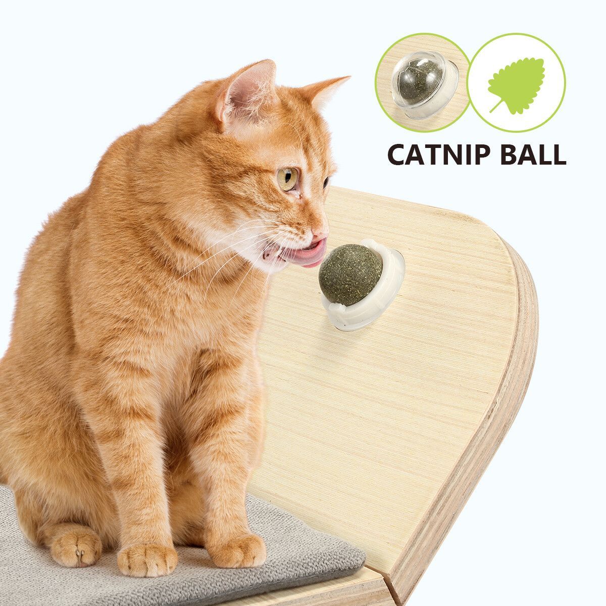https://img.bestdeals.co.nz/products_pictures/353/35384_300400_F.jpg