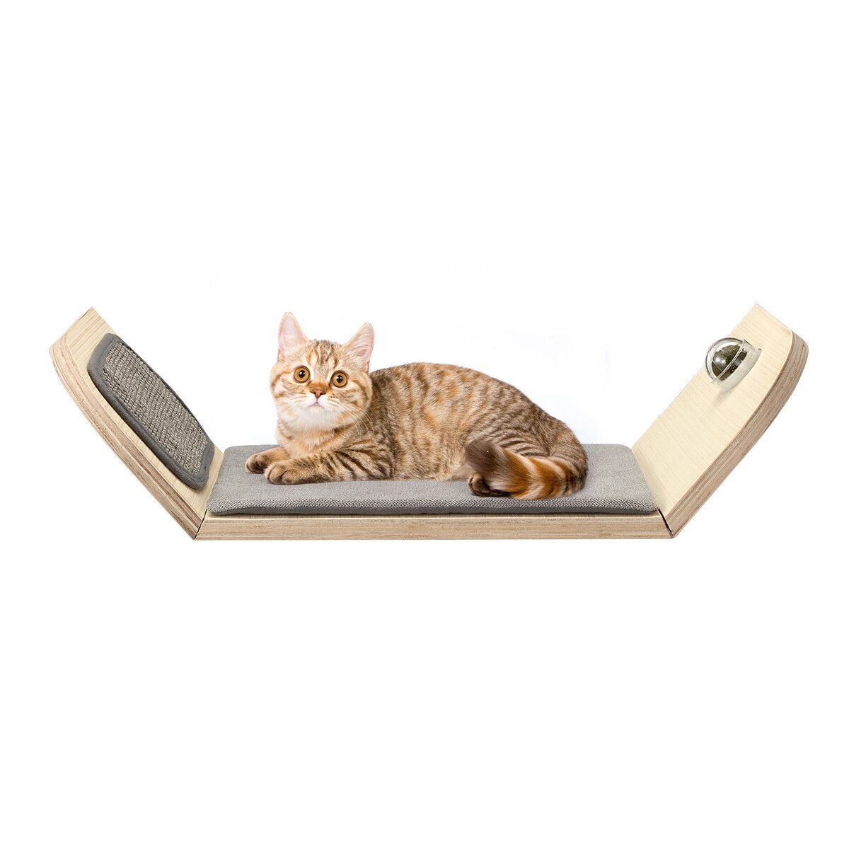 https://img.bestdeals.co.nz/products_pictures/353/35384_300404_F.jpg