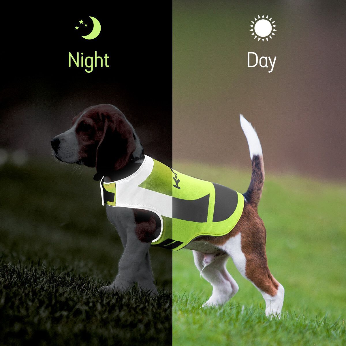 https://img.bestdeals.co.nz/products_pictures/353/35385_300411_F.jpg
