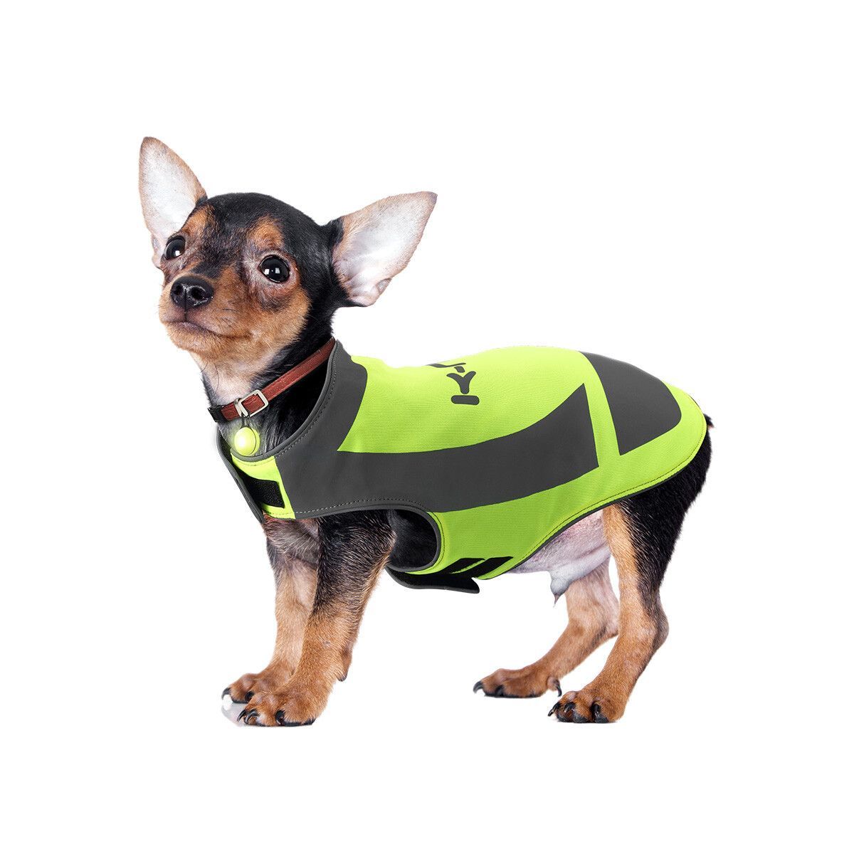 https://img.bestdeals.co.nz/products_pictures/353/35385_300414_F.jpg