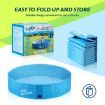 Pet Swimming Pool Dog Paddling Portable Bath Tub Foldable for Cat Pet M Size
