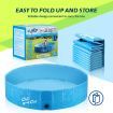 Pet Swimming Pool Dog Paddling Portable Bath Tub Foldable for Cat Pet L Size