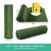 1M X 10M Artificial Synthetic Fake Faux Grass Mat Turf Lawn 12MM Height