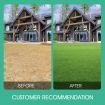 1M X 10M Artificial Synthetic Fake Faux Grass Mat Turf Lawn 25MM Height