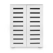 2 Door 20 Pair Shoe Storage Cabinet for Home Entryway Closet