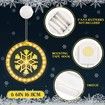 Christmas Decorative 3D Hanging Lights 2 PCS Christmas Window Light Hanging Lighted Window Decorations for Indoor Outdoor Windows Decorations (Elk, Snowflake)
