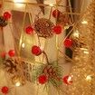 20 LED Christmas Garland String Lights Pine Cone Led String 2m