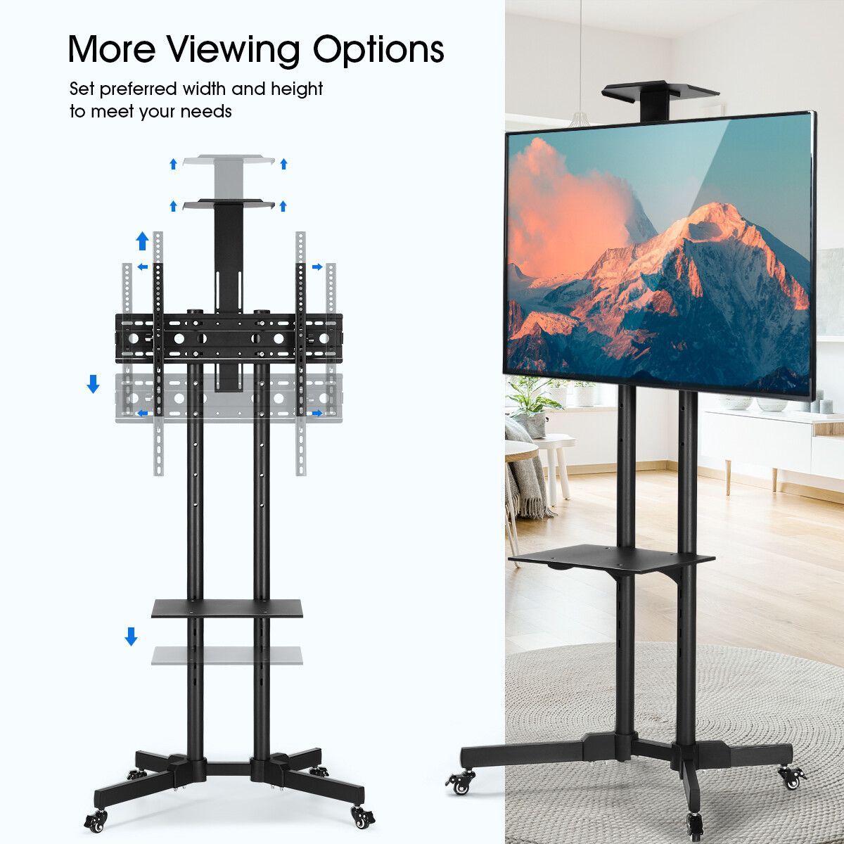 https://img.bestdeals.co.nz/products_pictures/355/35578_303958_F.jpg