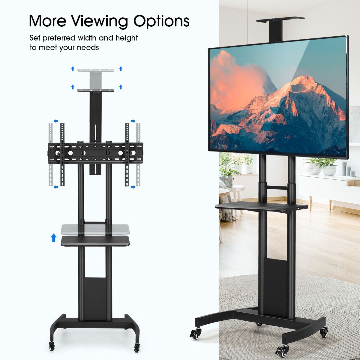https://img.bestdeals.co.nz/products_pictures/355/35579_303969_F.jpg