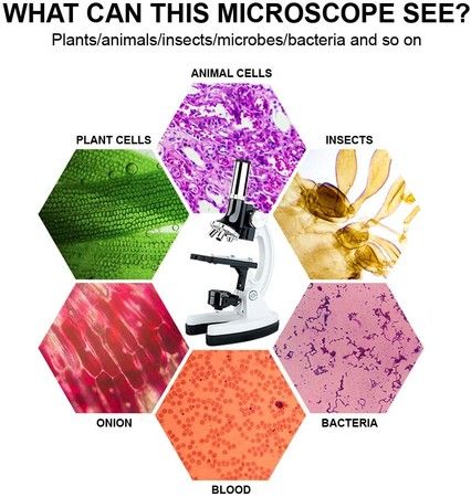 https://img.bestdeals.co.nz/products_pictures/356/35611_304319_F.jpg
