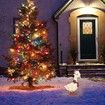 Light-up Acrylic Duck with Scarf Holiday Christmas Decoration Colorful light Batteries Power