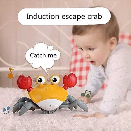 https://img.bestdeals.co.nz/products_pictures/364/36406_315039_F.jpg