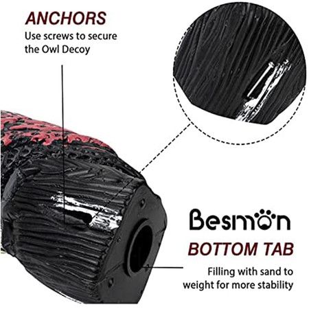 https://img.bestdeals.co.nz/products_pictures/366/36674_317478_F.jpg