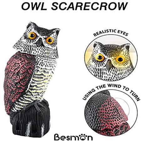 https://img.bestdeals.co.nz/products_pictures/366/36674_317479_F.jpg