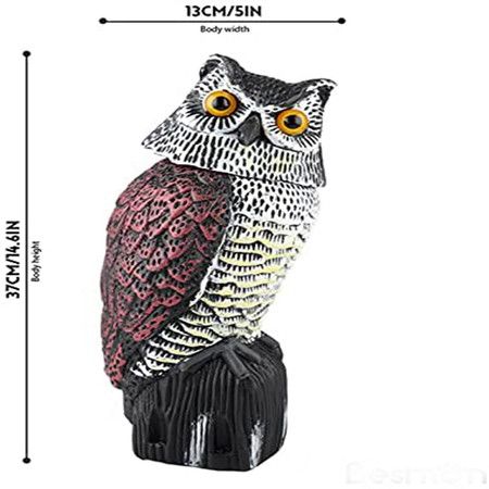 https://img.bestdeals.co.nz/products_pictures/366/36674_317480_F.jpg