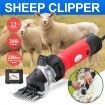 2800RPM Electric Sheep Wool Shear Clipper Livestock Hair Grooming Kit with 5m Power Cable