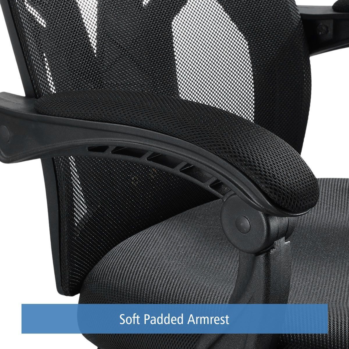 https://img.bestdeals.co.nz/products_pictures/366/36686_317579_F.jpg