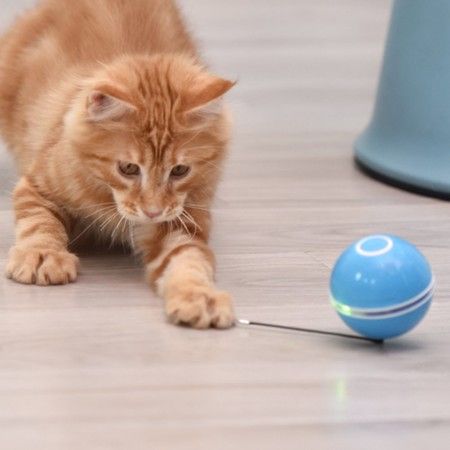https://img.bestdeals.co.nz/products_pictures/367/36715_318109_F.jpg