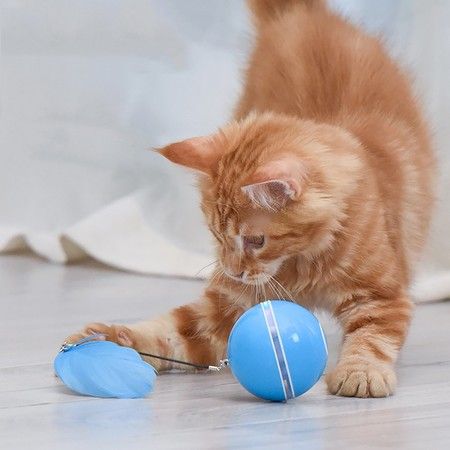 https://img.bestdeals.co.nz/products_pictures/367/36715_318110_F.jpg