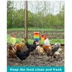 6 Packs Chicken Xylophone Swing Ladder Toys Pecking Vegetable Hanging Feeder for Chicken Hens Bird Parrot