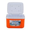 5L Portable Food Storage Box Cooler for Outdoor Activities Insulated Fishing Box for Camping and Picnics Food Storage Solution