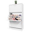 Modern 3-Drawer Shoe Cabinet 45 Pairs Shoe Organizer Rack