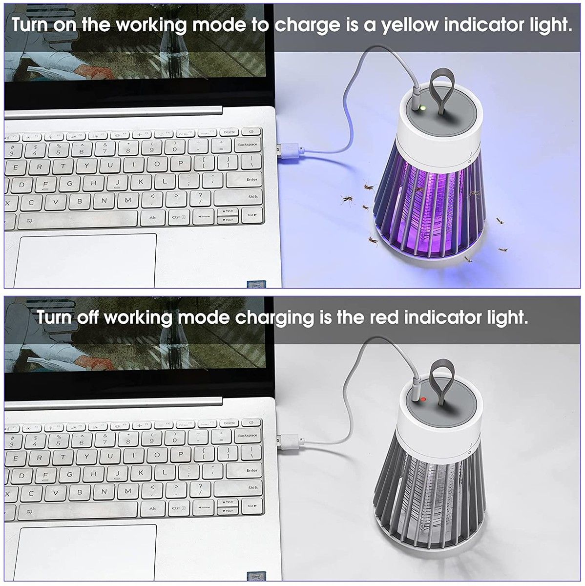 https://img.bestdeals.co.nz/products_pictures/369/36985_321232_F.jpg