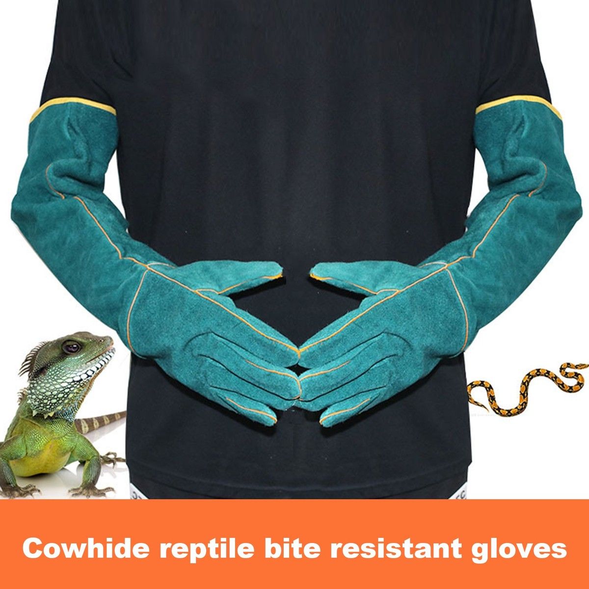 https://img.bestdeals.co.nz/products_pictures/370/37015_321525_F.jpg