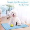 SizeM 60x50cm Pet Cooling Mat for Dog Puppy Cat Washable Cooling Pad Under 7.5KG