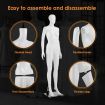 Female Mannequin Full Body Manikin Torso Display Stand Dress Form 175CM Adjustable Detachable White