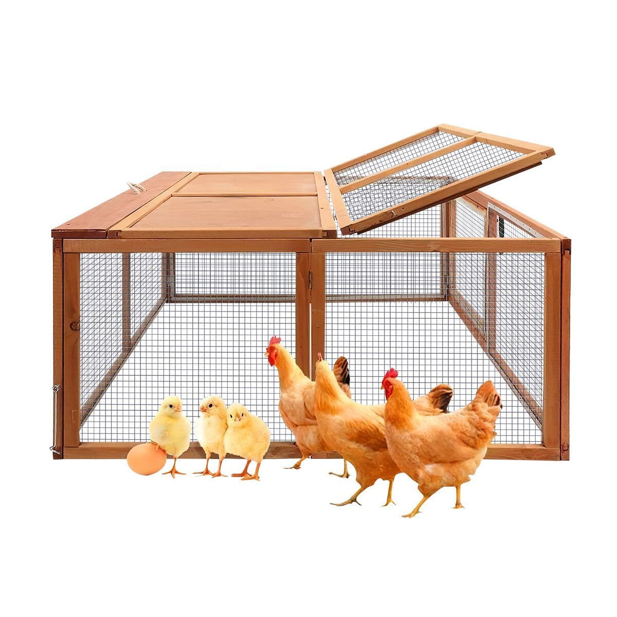 https://img.bestdeals.co.nz/products_pictures/372/37297_324730_F.jpg