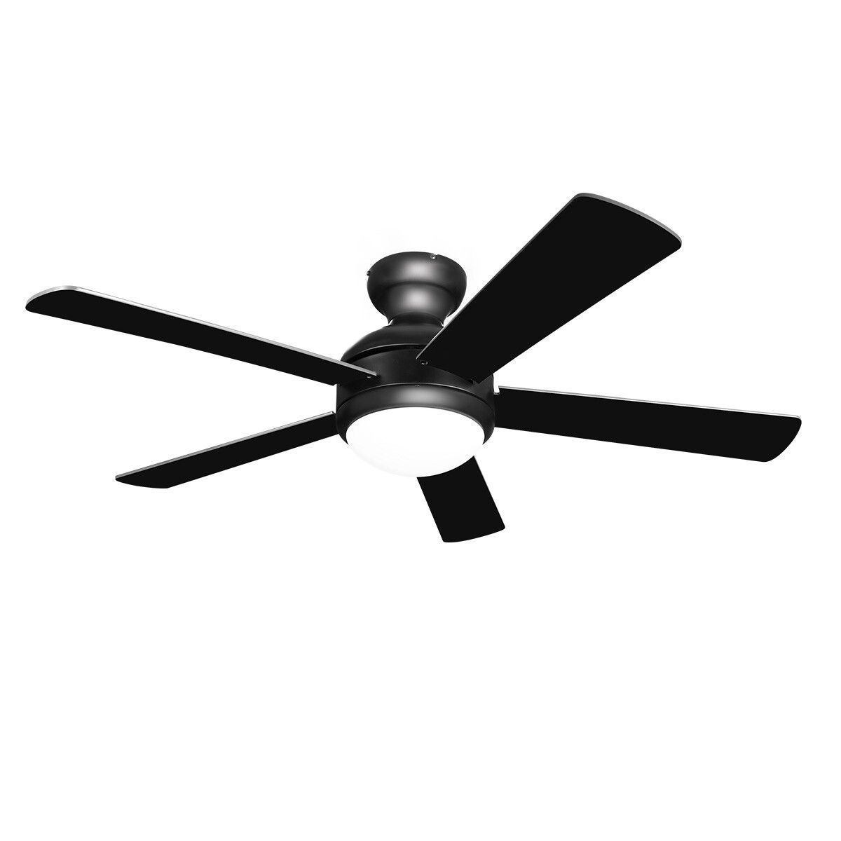 https://img.bestdeals.co.nz/products_pictures/373/37309_324862_F.jpg